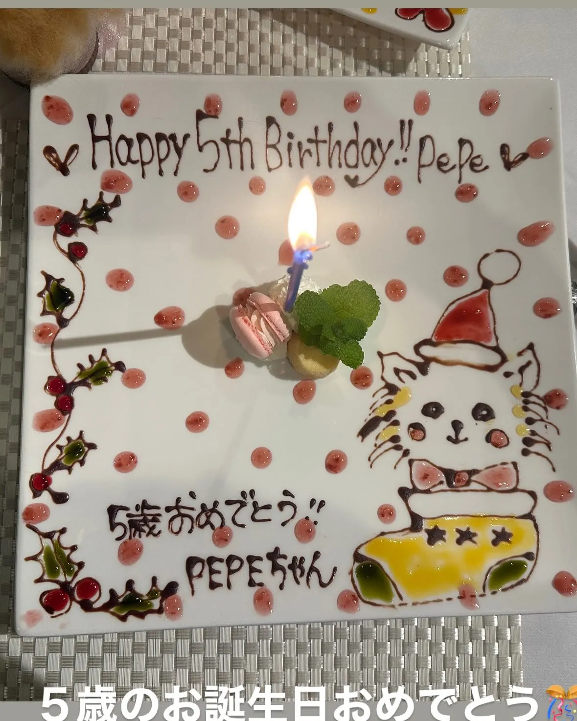 本日は寒い日でしたが夜ディナーでテラスでの可愛いお客様ご来店...